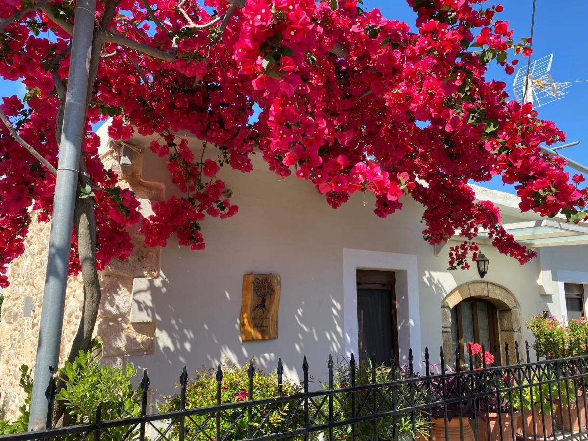 Vila Bio Garden Stonehouse Gonia Exteriér fotografie