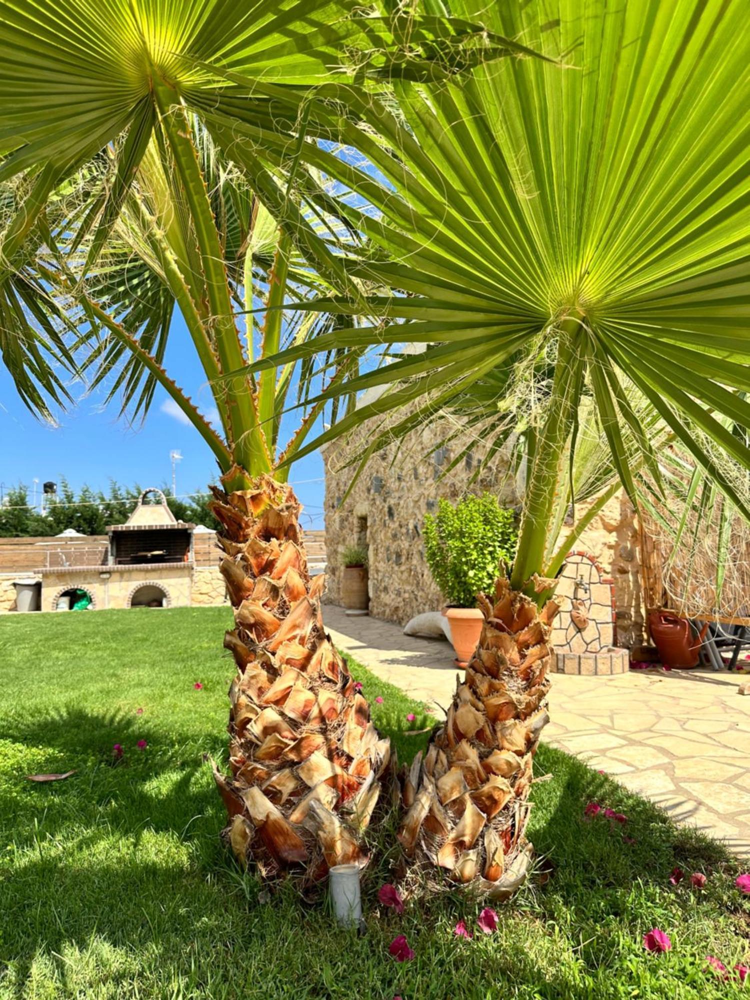 Vila Bio Garden Stonehouse Gonia Exteriér fotografie